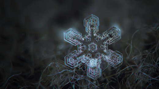 921169 (a): :2048x1152